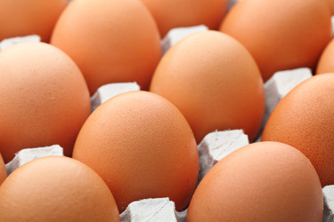 Similar image 6088442