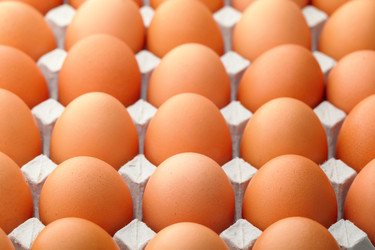 Similar image 6088467