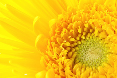 Similar image 6088489