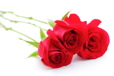 Similar image 6088491