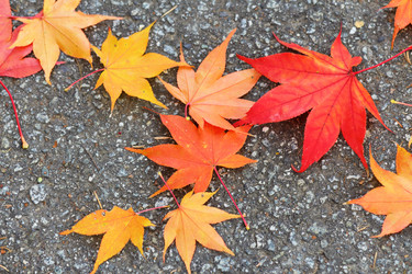 Similar image 6088557