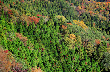 Similar image 6088677