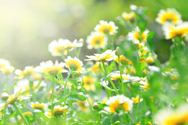 Similar image 6088700