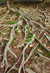 Similar image 6088714