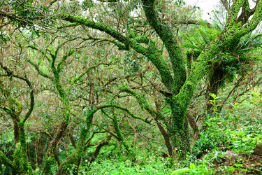 Similar image 6088719