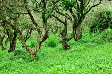 Similar image 6088720