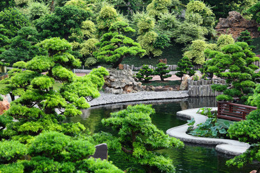 Similar image 6088722