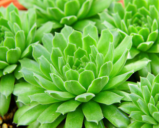 Similar image 6088727