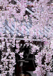 Similar image 6088758