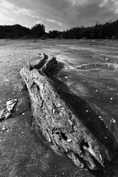 Similar image 6088771