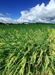 Similar image 6088772