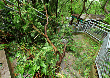 Similar image 6088902