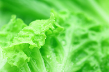 Similar image 6088914