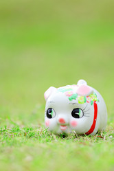 Similar image 6088973