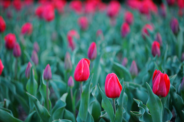 Similar image 6089098