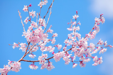 Similar image 6089106