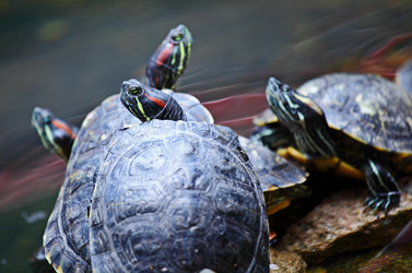 Similar image 6089126