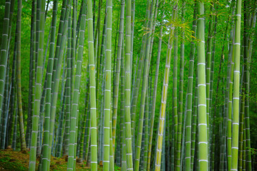 Similar image 6089137