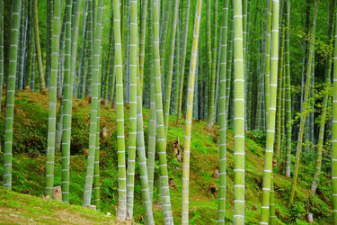 Similar image 6089145