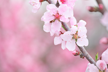 Similar image 6089231