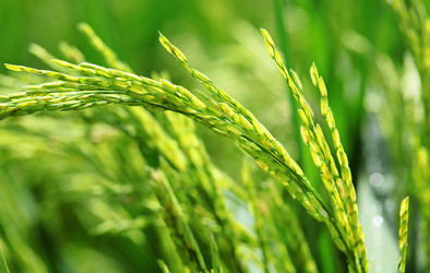 Similar image 6089242