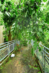 Similar image 6089304