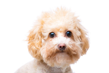 Similar image 6089429