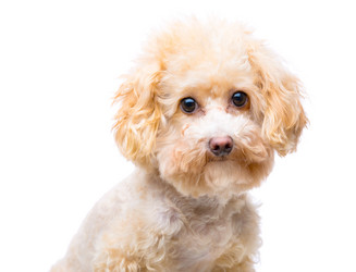 Similar image 6089431