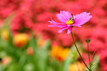 Similar image 6089438