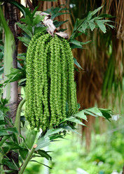 Similar image 6089505