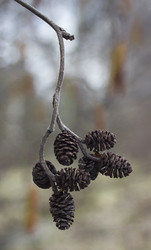 Similar image 6089526