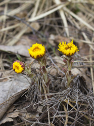 Similar image 6089527