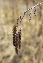 Similar image 6089528