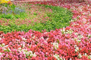 Similar image 6089534