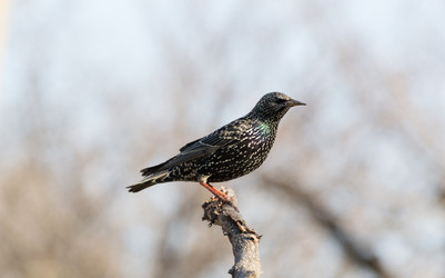 Similar image 6089547