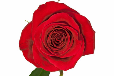 Similar image 6089685