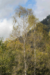 Similar image 6089699