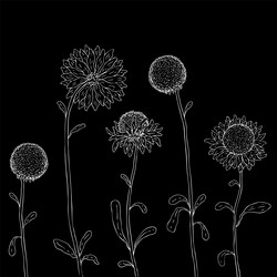 Similar image 6090135