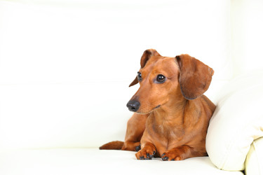 Similar image 6091716