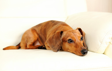 Similar image 6091761