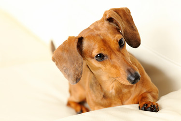 Similar image 6091787