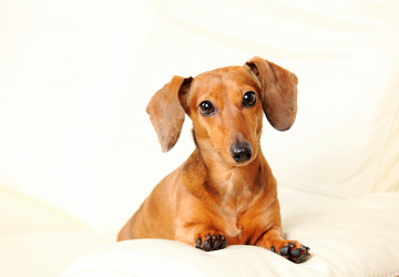 Similar image 6091788