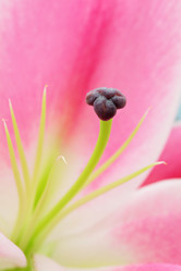 Similar image 6091871