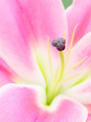 Similar image 6091903