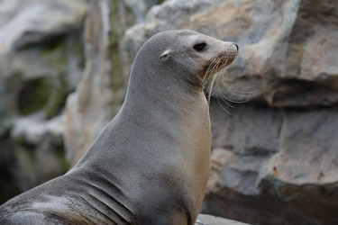 Similar image 6091916