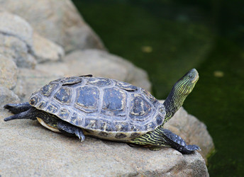 Similar image 6091954