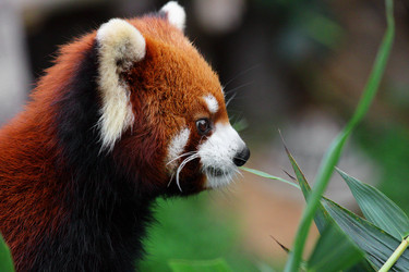 Similar image 6091963