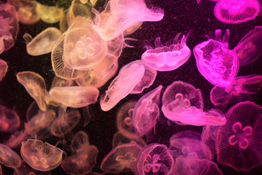 Similar image 6091968