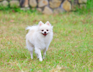 Similar image 6091987