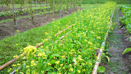 Similar image 6091991